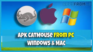 Cat mouse has been around for a while now. Catmouse For Pc Windows Mac Install Apk 2021