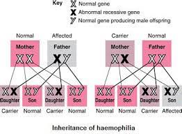 Describe genetic components of conception. Can A Recessive Trait Be On The Y Chromosome Mendelian Patterns Of Inheritance Dominant Refers To An Allele That Expresses Its Phenotype In The Homo And Heterozygous Forms Recessive Refers