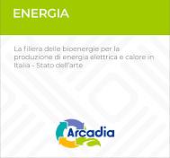 La filiera delle bioenergie per la produzione di energia ...