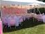 Outdoor Birthday Tent Decoration