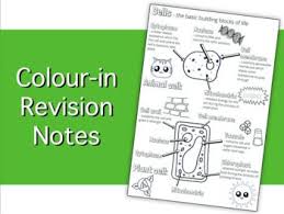 We did not find results for: A Complete Revision Resource Of The Organelles Found In Animal And Plant Cells Including Their Function Print In B Biology Revision Science Revision Teaching