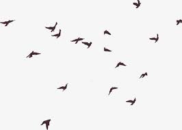 Birds Silhouette Png And Vector Bird Silhouette Bluebird Watercolor Silhouette Png
