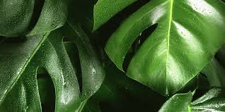 It's possible to keep ethics and sustainablity in mind without sacrificing fashion with these sustainable and ethical men's clothing brands. Sustainable Luxury Millennials Buy Into Socially Conscious Brands