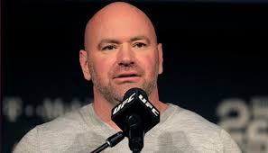 UFC Gehälter: Die Super-Gagen von McGregor, Makhachev & Co.