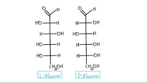 The two vertical bonds are directed behind the central carbon (away from the viewer). Fischer Projection Organic Chemistry Video Clutch Prep