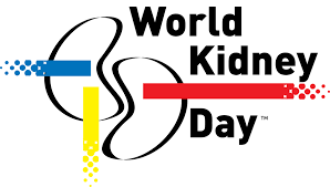 Kidneys help filter waste materials not only from food but from medications, and toxic substances. Ckd 2018 English World Kidney Day