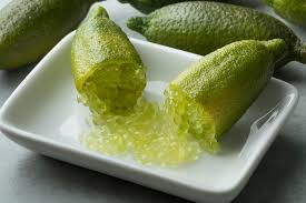 Australian finger lime fruit season like tahitian limes (aka bearss limes), finger limes are reported to occasionally suffer from stylar end breakdown (seb). What Are Finger Limes Taste Types Benefits Uses Twigs Cafe