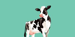 Cowpox is an infectious disease caused by the cowpox virus. Ruyada Inek Gormek Ne Anlama Gelir