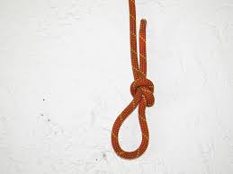 The square (reef) knot (abok # 1402, p 258) is usually learned when we tie the laces on our first pair of shoes. Noose Wikipedia