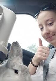 Does anybody know of anyone good with wood that could make me 9 cosy homes  for my rabbits? To comply with the council and licensing I need 9 wooden  homes that my