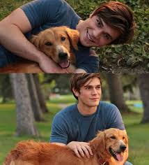 Netflix adalah layanan streaming yang menawarkan berbagai acara tv pemenang tonton di mana pun dan kapan pun, di perangkat apa saja. Kj Apa France Shared A Photo On Instagram Bonne Nuit Kjapa Smile Riverdale Archieandrews Netflix Kenetij Archie Andrews Photo And Video Archie