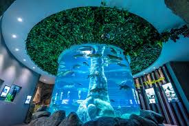 De'shores residence melaka @ shore residences. The Shore Oceanarium Malacca Malaysia Gokayu Your Travel Guide