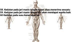 Setiap yang bernyawa pasti akan mati. Kedutan 100 Arti Dan Makna Tanda Kedutan Di Tubuh Youtube