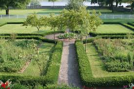 We did not find results for: Exclusive Information About Privet Hedges Gardenerdy