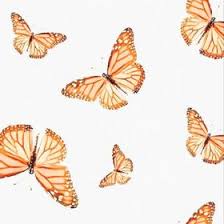 Последние твиты от clips4sale.com (@clips4sale). Lucy Mcfall Lucymcfall08 Profile Pinterest