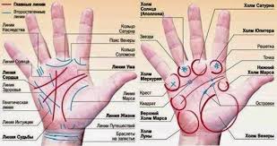 как по руке узнать сколько будет детей у женщины Rossijskij Servis Onlajn Dnevnikov Palm Reading Palmistry Reading For Beginners