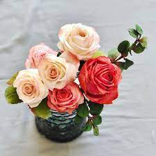 roses in sugar rose flowers plants