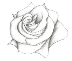 Easy To Draw Sketches Of Flowers Chelss Chapman Learn how to draw flowers using simple line drawings. easy to draw sketches of flowers