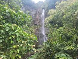 Image result for Kuloa