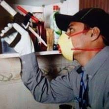 Best pest control service in sector 62, noida. Top 10 Pest Control Services In Noida Thepackersmovers
