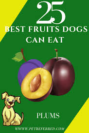 What Fruit Is Safe For Dogs To Eat 25 Best Fruits Dogs Can Eat Safely In 2020 Fruit Dogs Can Eat Best Fruits Fruits For Dogs