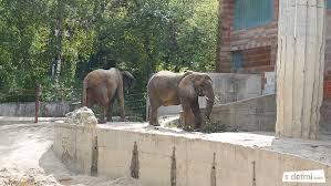 We did not find results for: Narodna Zoologicka Zahrada Bojnice Sdetmi Com