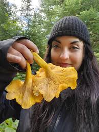 Are these chanterelle mushrooms?