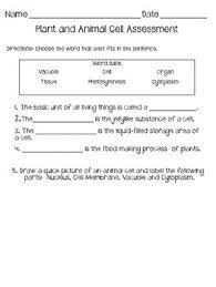 Plant and animal cell test answer key. Plant And Animal Cells Test Worksheets Teaching Resources Tpt