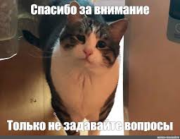 Картинки «спасибо за внимание» смешные. Mem Spasibo Za Vnimanie Tolko Ne Zadavajte Voprosy Vse Shablony Meme Arsenal Com