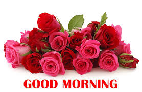 But when someone send good morning wishes to him then his day goes some better.and today we here with best good morning images with rose, when you send these images to your friends relatives and family member they feel your feelings.and a smile is come on their face. Good Morning Rose Wallpapers Wallpaper Cave