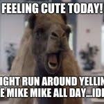 Guess what day it is. Hump Day Camel Meme Generator Imgflip