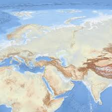 Image result for Pluchea bequaertii