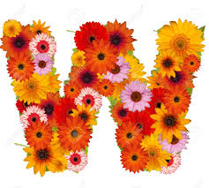 The pictures are also interesting for them to look at and help with word association. Blumen Alphabet Isoliert Auf Weiss Buchstabe W Lizenzfreie Fotos Bilder Und Stock Fotografie Image 10225825