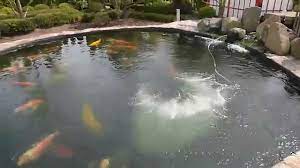 Check spelling or type a new query. Modern Koi Blog 170 Teichbeluftung Xxl Youtube