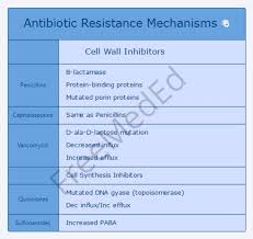 Antibiotic Resistance Mechanism Of Action Chart Penicillins