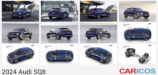 Image result for Waitomo Blue 2023 SQ8