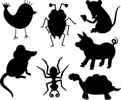 Deskripsi diri dalam bahasa inggris. English Vocabulary Animals Binatang Sederet Com