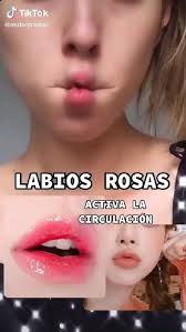 lisbeth bermudez (amyabisai1523)