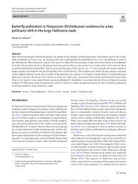 Image result for Platycoryne pervillei