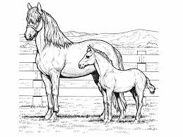 Horse coloring pages is a printable coloring book for kids. Free Horse Coloring Pictures Haramiran