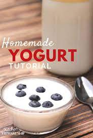 How To Make Easy Homemade Yogurt Save Over 1000 Year