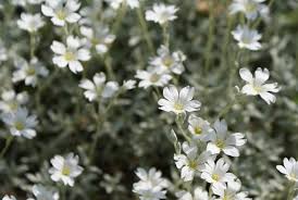 Consultez les 1 093 avis de voyageurs, 627 photos, et les meilleures offres pour hotel belle arti, classé n°289 sur 412 hôtels à venise et noté 3 sur 5 sur tripadvisor. Meteo Bologne Prevision A 15 Jours Climat Quand Venir Vanupied