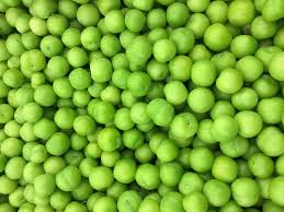 Our authentic persian plum tree from tabriz, iran produces a very popular sour green plum that is picked when the fruits are small and green. Pin On Harbalist