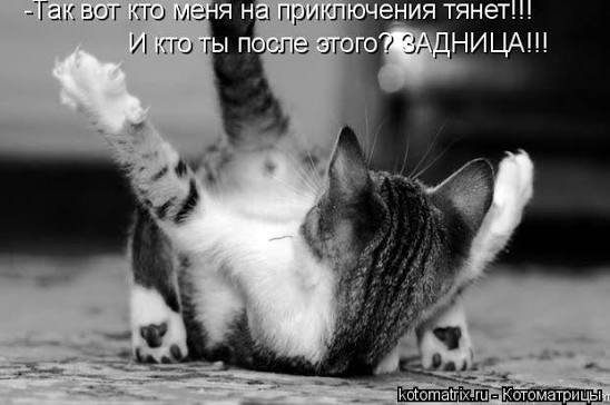 images?q=tbn:ANd9GcQiMcdGzOKhsxj4LXRPH_yKK170TCqqZhdwEMbgCO5_hotAEAfDyG-OKFVC&s=10.jpg