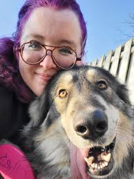 Lost dog named Bear in Savannah, Georgia