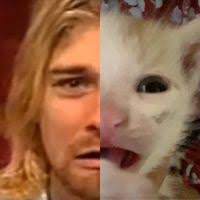 Adrian Michel (adrianjaldindelgadilloajd)