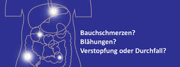 Blog Leiden Sie Oft An Bauchschmerzen Blahungen Und Verstopfung Oder Durchfall