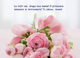 Alege un mesaj pentru mama, iubita, bunica, soacra, fiica, sora, soția, învățătoarea, șefa sau colega din viața ta de 08.03.2021! Mesaje De 8 Martie Ziua Femeii 2021 Mesaje UrÄƒri Sms Uri Si FelicitÄƒri De 8 Martie 2021