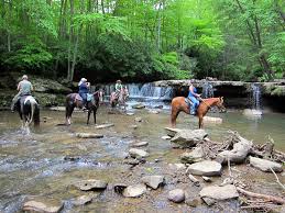Camp creek state park and forest is known for beautiful waterfalls and great camping. Endurance Net Trails Matter Horse Camping Weekend At Camp Creek State Park In West Virginia