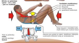 Image result for vyhřezlá ploténka